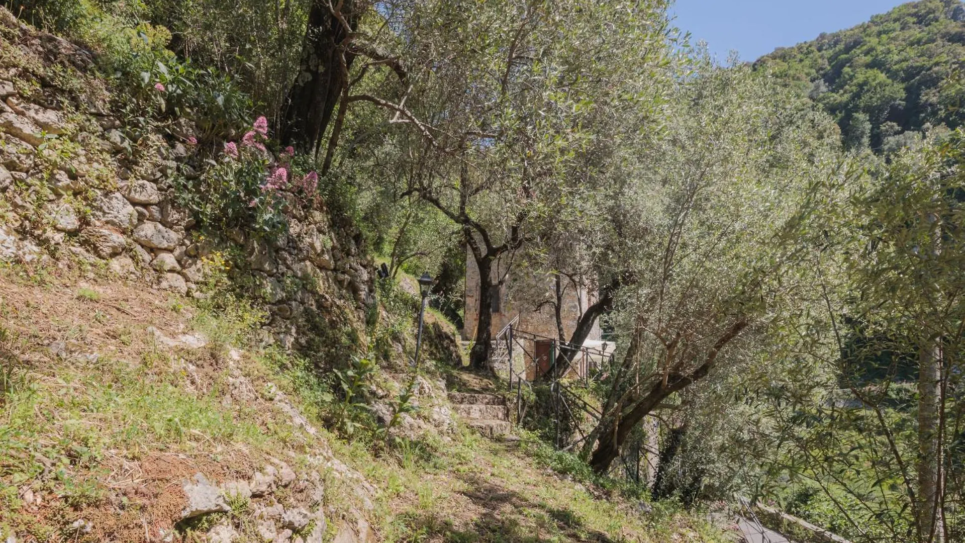 Holiday Home L'Oliveto By Interhome Casoli  Italy