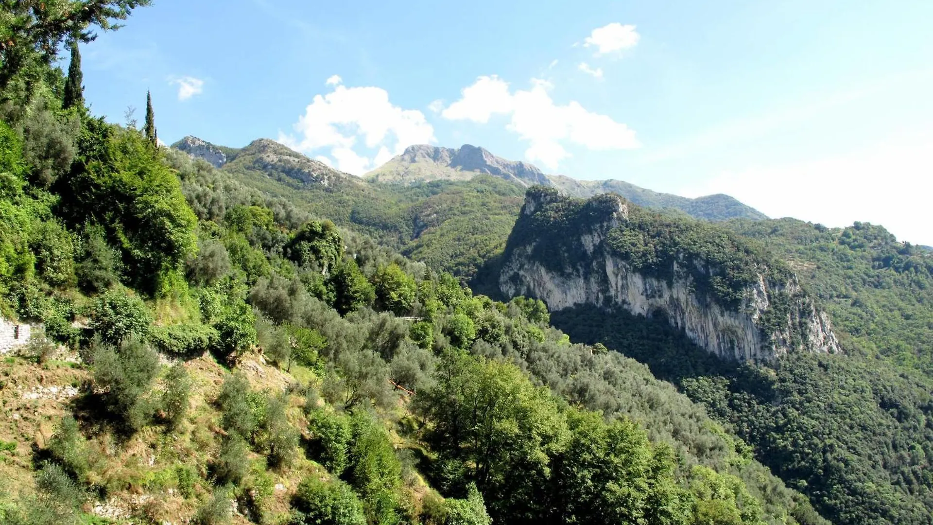 Holiday Home L'Oliveto By Interhome Casoli